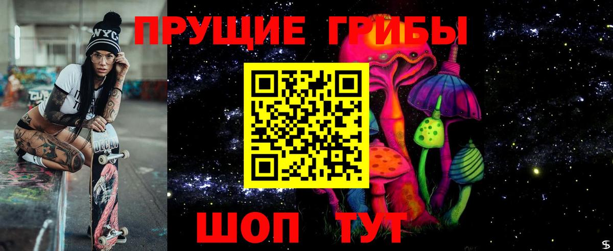 Татарск  Галлюциногенные грибы Cubensis  Вход с VPN 